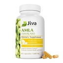 Jiva Botanicals Amla Kapsler (Amalaki) - 60 Vegan Kapsler - Amla Pulver - Indian Gooseberry Supplement for Vitality