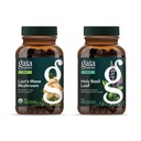 Gaia Herbs Lions Mane Mushroom - Hjælp med at opretholde neurologisk sundhed - 120 Vegansk flydende Phyto- Kapsler & Holy Basil Leaf - Hjælper med at opretholde en positiv Mindset og balance i tider med stress - 120 Vegansk Li
