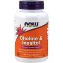 Now Cholin and Inositol 500mg, 100 Kapsler (pakke med 2)