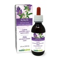 Naturalma Alfalfa eller Lucerne (Medicago Sativa) urt med blomster Alkohol- Free Tincture - Rich in Natural Chlorophyll - 4 fl oz Liquid Extract in Drops - Herbal Supplement - Vegan