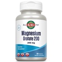 KAL Magnesium Orotere 200 mg, Superior Absorption Formel, Chelated Magnesium for sunde knogler, tænder, nerve og muskel funktion, Vegetar, Non- GMO, Gluten Free, 30 Servere, 120 VegCaps