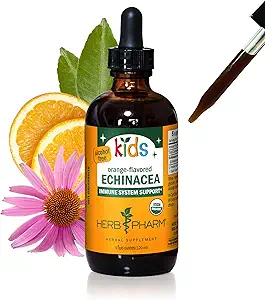 Herb Pharm Kids Certified-Organic Alcohol-Free Echinacea Glycerite Liquid Extract, 4 oz