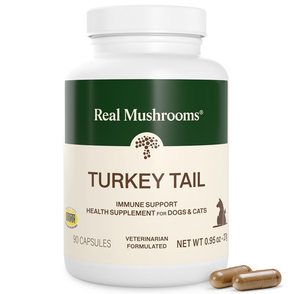 Ægte svampe Tyrkiet Tail kapsler til kæledyr -Kat Probiotika & hundevitaminer - Økologisk champignon supplement til hunde & katte - Understøtter daglig balance & velvære ikke-GMO, 90 ct