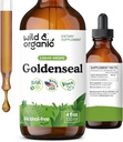 Wild & Organic Goldenseal tinktur - Lung & fordøjelsesstøtte - Goldenseal Root Extract Liquid Drops - Vegan, Sugar & Alcohol- Free Herb Supplement - 4 fl oz