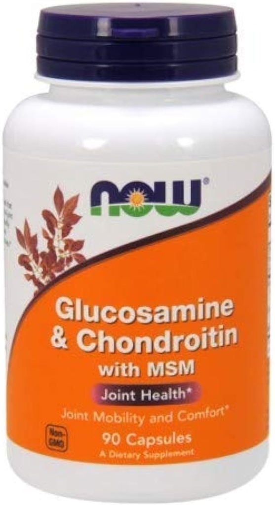 Glucosamin & Chondroitin med MSM - 90 Caps -2 Pack