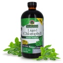 Naturens svar flydende chlorophyll, 100 mg, 16 fl oz (480 ml)