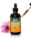 Herb Pharm Certified Organic Super Echinacea Liquid Extract for Active Immunsystem Support - 4 Oz
