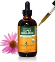 Herb Pharm Certified Organic Super Echinacea Liquid Extract for Active Immunsystem Support - 4 Oz