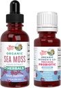 MaryRuth Organics Probiotiske fordampning (Hindbær) for kvinder 40 + & Sea Moss Dryps • 124; USDA Organic, Clean Label Project Verified ® • 124; Vitamin til Gut Sundhed og Immunitet • 124; Vegan, Non- GMO, Gluten Free