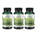 Swanson Lions Mane Mushroom - Traditional Brain Booster Supplement Lavet af Hericium Erinaceus (60 kapsler, 500mg Hver) 3 Pack