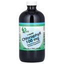 World Organics Chlorophyll Supplement Liquids, 100 mg, 16 Ounce, 16 Fl Oz (pakke med 1)