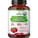 Zazzee USDA Organic Cranberry 25: 1 Extract, 500 mg per kapsel, 100 Veganske kapsler, Over 3 Måned Supply, Standardiseret, Koncentreret 25X Extract, 100% Vegetarisk, Certificeret Organisk, Non- GMO All- Natural