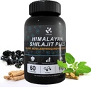 Shilajit Himalayan Supplement 60% Fulvic Acid, 120 Veganske kapsler Tilgang med Pure Natural Shilajit, Ashwagandha, Ginseng Extract - Høj i trace mineraler til mænd energistøtte