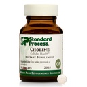 Standard Process Cholin - Understøtter sund fedt Metabolisme, Lever Sundhed & Nervesystemet funktion - Gluten- Free, Non- Dairy & Vegetar - 180 mg, 90 tabletter
