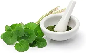 (Pakning á 2) Organic Centella Asiatica Powder (50g)