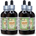 Carline Thistle (Carlina acaulis) Glycerit, Tørrede Rødder Alkohol- Free Liquid Extract (Brand Name: HerbalTerra, Stolt Made in USA) 4x4 fl.oz (4x120 ml)