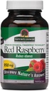 Naturens svar Red Raspberry Leaf • 124; Kosttilskud • 124; fremmer fordøjelsessygdomme • 124; Non- GMO, Vegan & Kosher Certificeret • 124; Vegetariske kapsler • 90ct