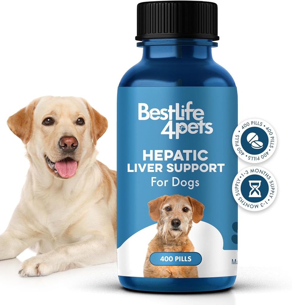 Leverleverstøtte til hunde, Opløselig Homøopatisk fordøjelsesmedicin supplement til lever Detox og næringsstof Absorption, 100% Alle naturlige, let at give, fri for kemikalier eller tilsætningsstoffer, 400 piller