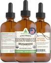 RawGuru Lions Mane Mushroom Tincture - Vegan Lions Mane Extract med Trace Minerals - Nano- Forarbejdede Immunitet Boost & Kognitive Supplement - 120 Serveringer af Vegan Drops pr 120 ml, Pack af 1