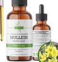 Mullein Tincture - Organic Mullein Drops til Lung Support & Respiratory Wellness - Lavet i USA - 2 Fl Oz