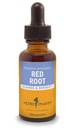 Herb Pharm Red Root Liquid Extract til rensning og afgiftning - 1 Ounce (DRROOT01)