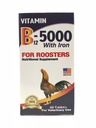 B12- 5000 med jern til haner 60 Tabs