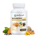 Fælles immunstøtte supplement, Patenteret Blend gurkemeje C3 Complex med sort peber, Boswellia PS Extract & Ingefær, Fast- Actioning 20 minutter, 8-timers Vedvarende udgivelse, 120 Caplets - Sanjevani