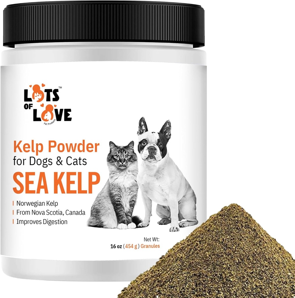 Kelp pulver til hund & kat - Økologisk hav Kelp supplement Granules pulver (16 Oz, 1 Pound)