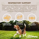 Doggie Conditions Pet Respiratory Support A Natural Dog Supplement til Optimal Hund vejrtrækning, Clear Sinuses, Hoste, Nysen og Congestion Relief for Hunde