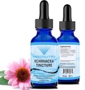 Absonutrix Echinacea Tincture Advanced Formel 390 mg, 4 Oz Liquid, 302 Serveringer, Made in USA, Quick Absorption, Kvalitet Potent Ingredienser, Non- GMO, GMP Certified Facility, Cruelty- Free Products