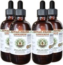 Cinnamomum Verum) Tørret Bark Glycerit Hawaii Pharm Natural Herbal Supplement 4x4 oz