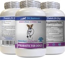 Hundefordøjelsesenzymer og probiotika - PROBIOTIK for hunde - Sund Gut - Stop Gas Diarré og dårlig ånde - fordøjelsesboost - Hundeprobiotika pulver - 1 flaske (60 Treats)