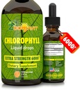 Chlorophyll Flydende dråber 100% Økologisk Vegan - Energi og immunsystem Booster tillæg med Mint Flavor til vand - Natural intern deodorant - Ekstra styrke 6000mg 120 Servere