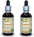 Shankhucki, Horseshoe Vitex (Convolvulus Pluricaulis) Tørret Hel Herb Liquid Extract (Brand Name: HerbalTerra, Stolt Made in USA) 2x2 oz