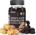 Lions Mane Mushroom Gummies for Nootrop Brain Supplement, immunforsvar, stress Relief Mushroom Supplement Berrry Flavor 60 Greve