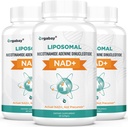 Orgabay Liposomal NAD + Supplement 500 mg, Høj Absorption, Boost NAD + med TMG 250 mg, Faktisk NAD Plus mere effektiv end Nicotinamid Riboside, Support Cellular Energy, Sund Aging