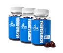 Ashwagandha Gummies Mixed Berry KSM- 66, Lions Mane, Vitamin- D, Non- GMO, Gluten- Free, Gelatine Free & Kosher (180 Greve (Pack of 3))