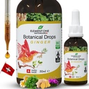 Naturlige botaniske dråber - Ingefær og fordøjelsesenzymer i en organisk formel for omfattende wellness, Support immunsystem, fremme inflammation Relief, og forbedre blodcirkulation (50ml)