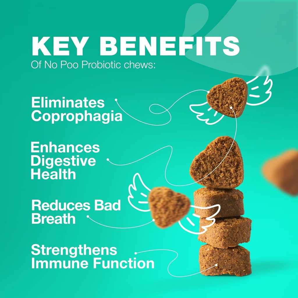 Ingen Poo Chewables til hunde - Enzymer, Hundeprobiotika til fordøjelsessygdomme - Canine fordøjelsessygdomme, Gut & immunforsvar supplement