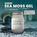 Ashwagandha Mango Sea Moss Gel Organic Fresh Fruit Infunded Wild Harveed Irish Sea Moss Gel Gel 124; immunforsvar og fordøjelsesstøtte 124; Vitamin Mineral Antioxidant Kosttilskud 124; (16 oz. Ashwagandha Mango)