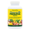 Natures Plus Kilde of Life Prenatal - 800 mcg Folate, 90 Vegetariske tabletter - Alle naturlige prenatal Vitamin & Min med Iron & Calcium - Optimal sundhed & energi - Gluten- Free - 45 Servering