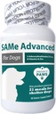 Projekt Paws Samme for hunde - Leverstøtte til hunde med B-vitamin - Kognitiv hund supplement - S Adenosyl methionin for hunde - 60 ct.