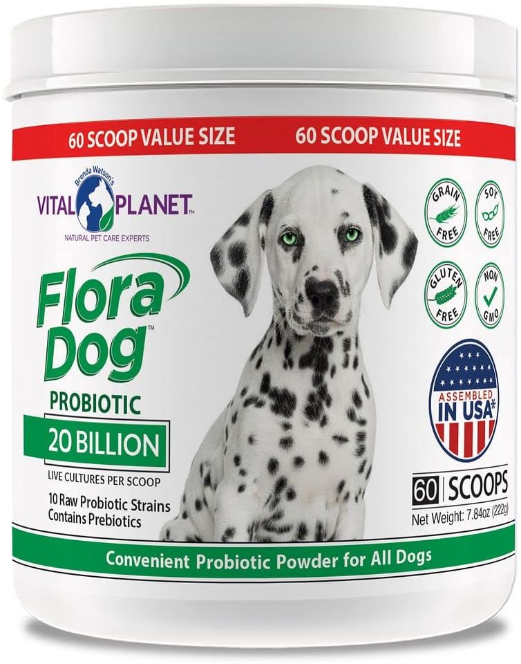 Vital Planet - Flora hund probiotisk pulver supplement med 20 Millioner kulturer og 10 Proteser, Høj Potency Immun og fordøjelsesstøtte Probiotika til hunde, 7.84 oz., 222 Bedste, 60 Servering