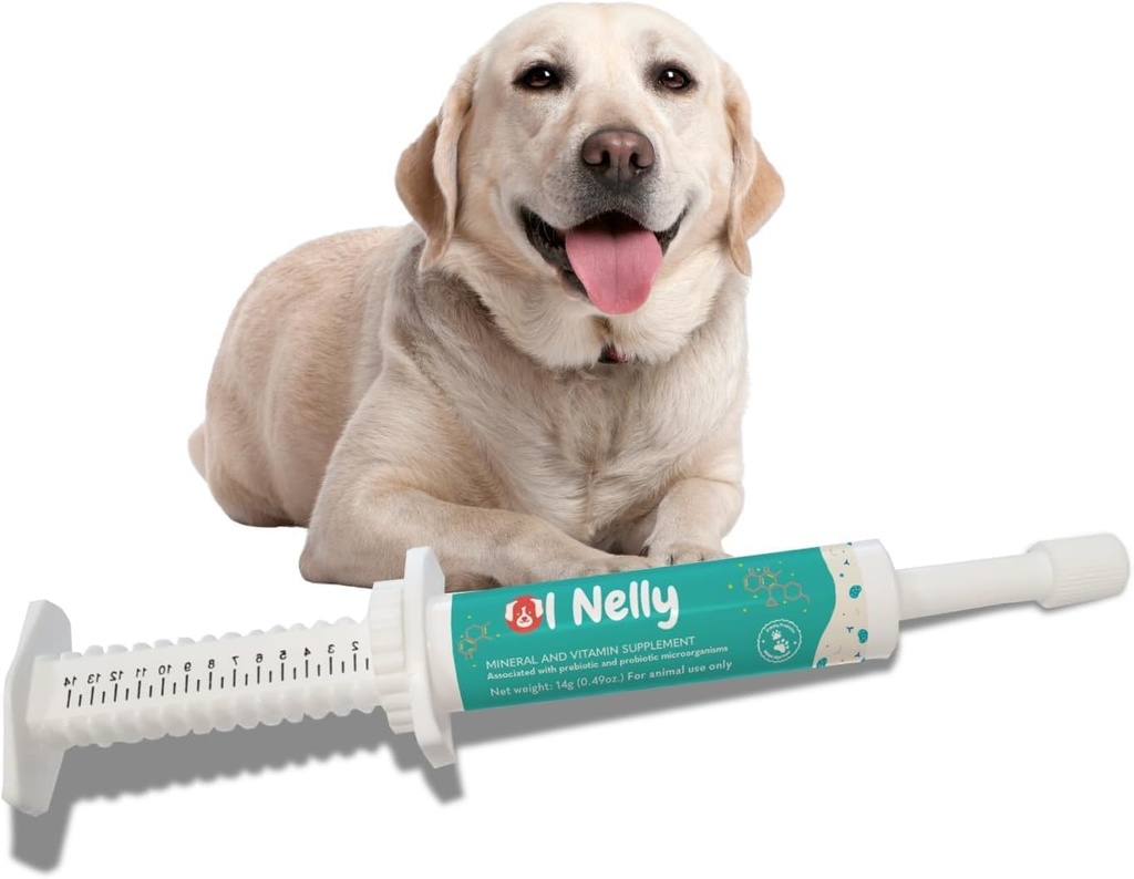 Prebiotic & Probiotic Dog Probiotic Paste, 6 Strops of Bacteria, 18 Bi CFU 's + Vitaminer, Mineral- Opgraderet formel for hurtig balance GI, Hunde Probiotic Paste (14 g)