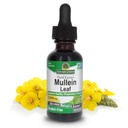 Naturens svar Mullein Leaf • 124; Herbal supplement • 124; Understøtter respiratoriske funktion & Mucous Memory • 124; Non- GMO & Kosher • 124; Gluten- Free & Alcohol- Free 1oz (2 Pack)