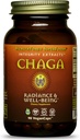 HealthForce SuperFoods Integrity Ekstrakter Chaga - kapsler - 90 Veganske kapsler