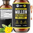 HERBIFY Mullein Extract 2 oz Tincture for Respiratory Health, Mullein Leaf og blomster Blend (Verbascum Densiflorum)