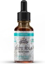Gotu Kola Tincture, Organic Gotu Kola Extract, Gotu Kola Drops (Centella Asiatica) Tørret urt