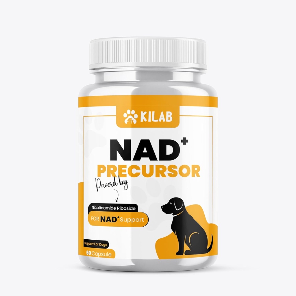 Kilab NAD + Precursor Supplement for hunde - understøtter sund aldring & Skeletal Muscle Support & Recovery - Brain, Heart, & Cellular Energy Support - Nicotinamid Riboside Chlorid - 60 kapsler