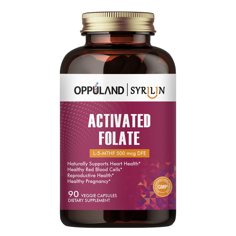 Aktiveret folate- L 5 - MTHF DFE Supplement - Methylfolat B9 MTHF med vitamin B12, CoQ10, & rød hindbær - Metyleret L- methylfolat til mænd og kvinder - 500 mcg - 90 Veggie kapsler